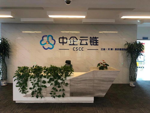 中企云鏈 安心扎根，舒心發展，創新金融科技服務與信息技術咨詢